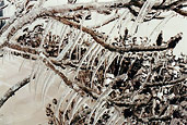 Frozen Niagara '08